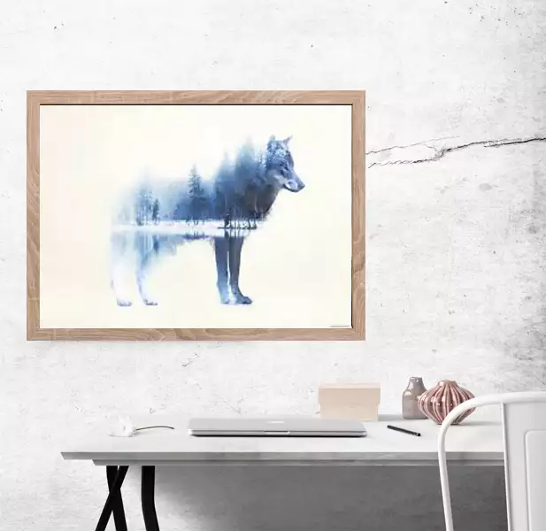 plakat wilk